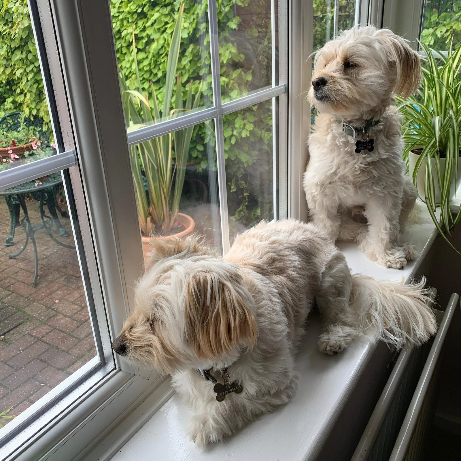 6DB0798A-E06B-4E9C-992F-17A73ABD3F13