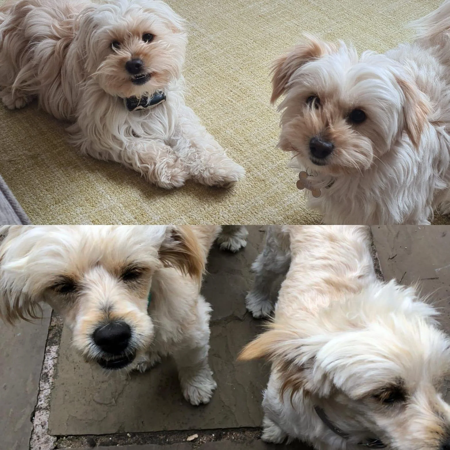 0767945B-1677-423A-8E65-3C835C5D731B