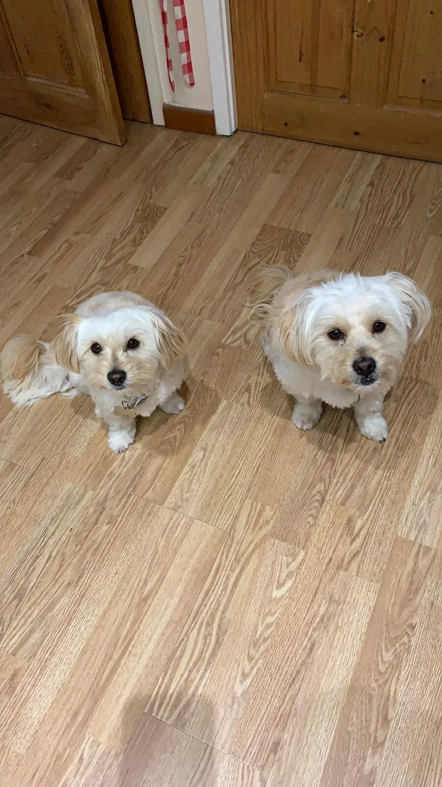 B3C687DF-41AA-4073-B030-9B017859CBCC