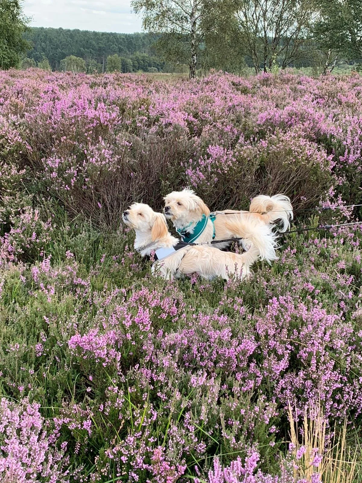 5C10F87B-CC96-4B64-B85B-C205F8E7872D