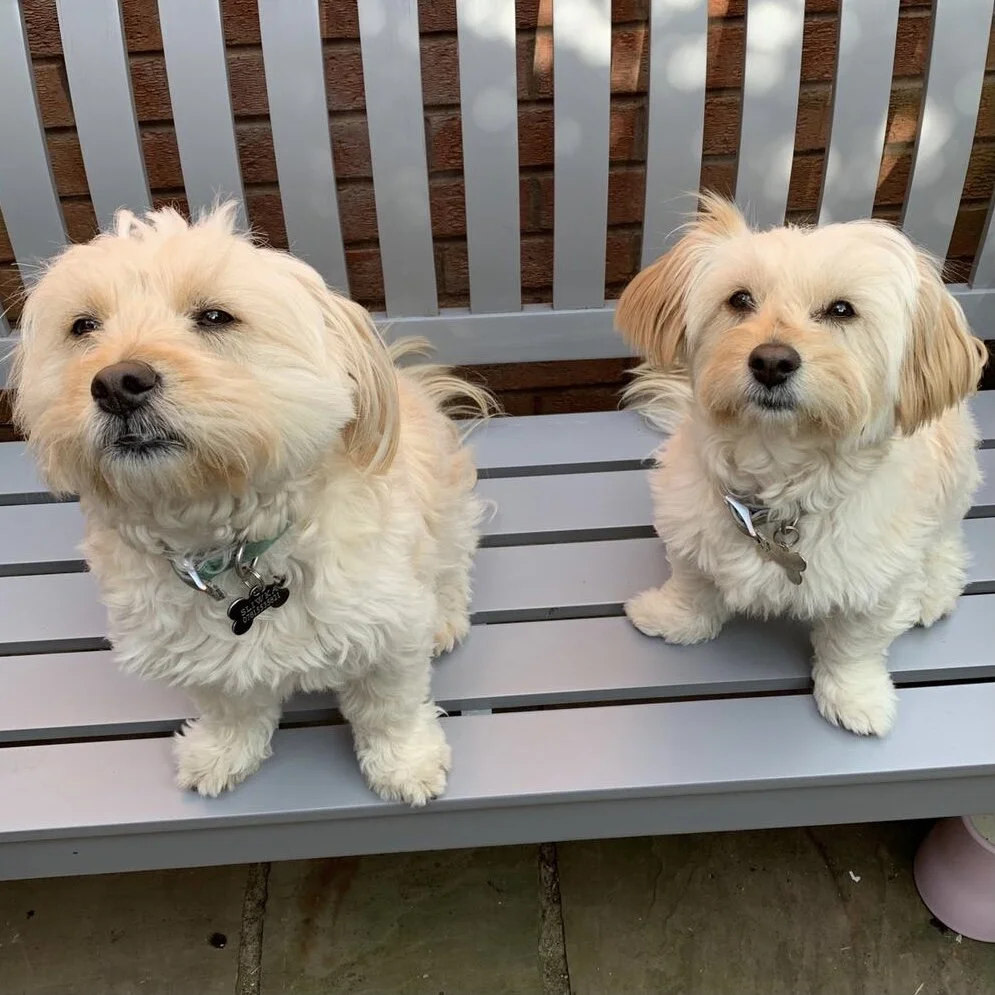 7DB2BF31-D5C5-477D-8089-996C3B22F6BB