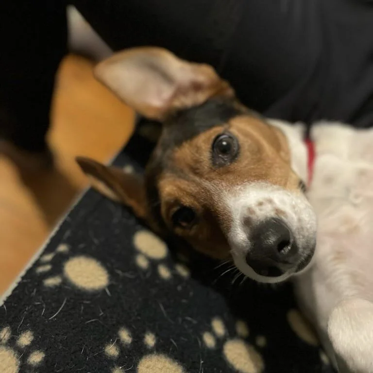 BF542DBD-7B1B-450A-A0A5-B0E3EDC0225C