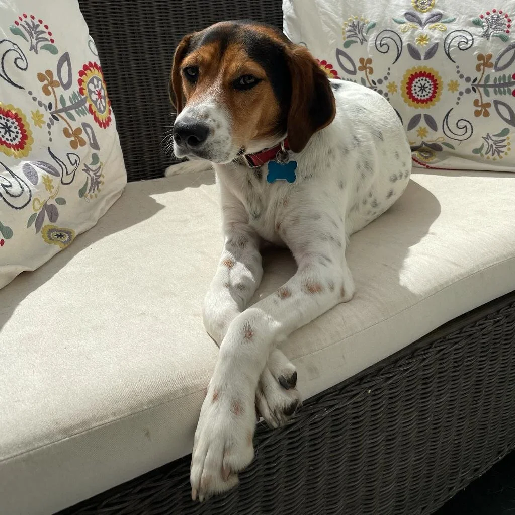 11142F45-6CE8-427B-B426-0182C084C62E