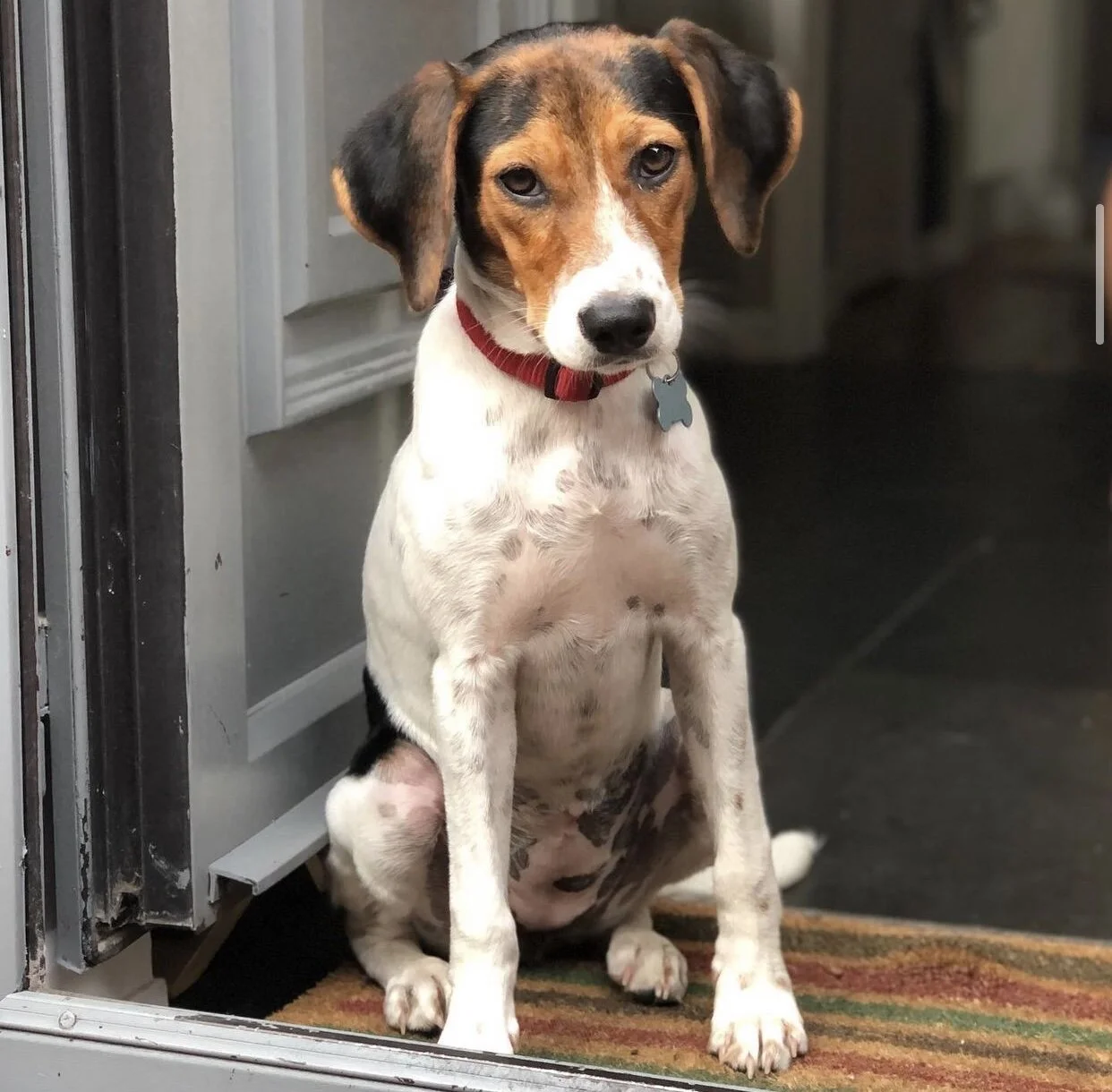 8043E492-7E48-422E-BF06-A33F7EEB1EC1