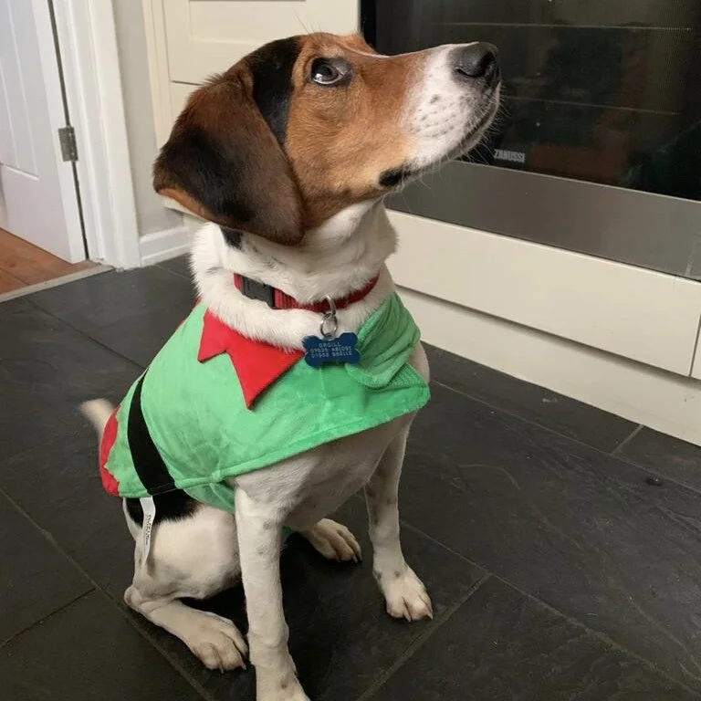 F735E758-7C6D-4977-841F-FD7CDD962FC6