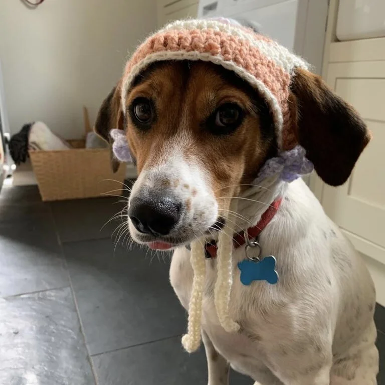 A57B3DDB-CE22-4D5F-869A-AC0875A3F3EA