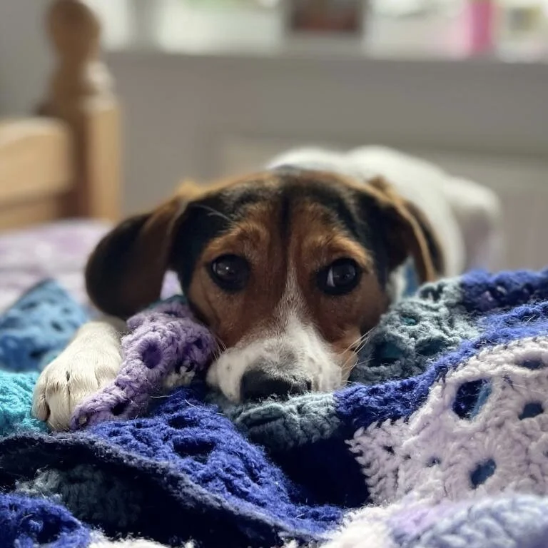 9BEE6487-D053-4ED2-A6B9-C7097CEADD38