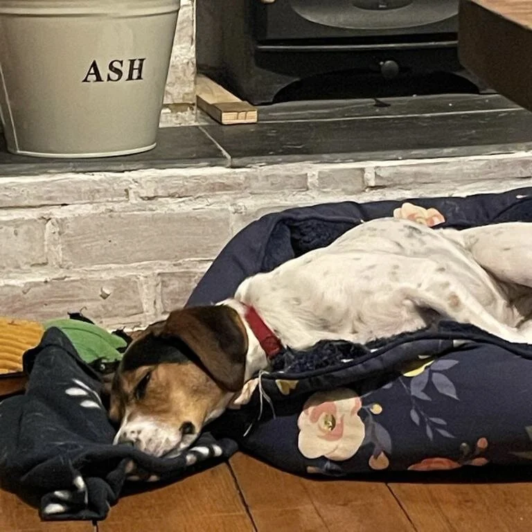 D823FAE7-F04B-492F-944E-7FB79A34C7B9