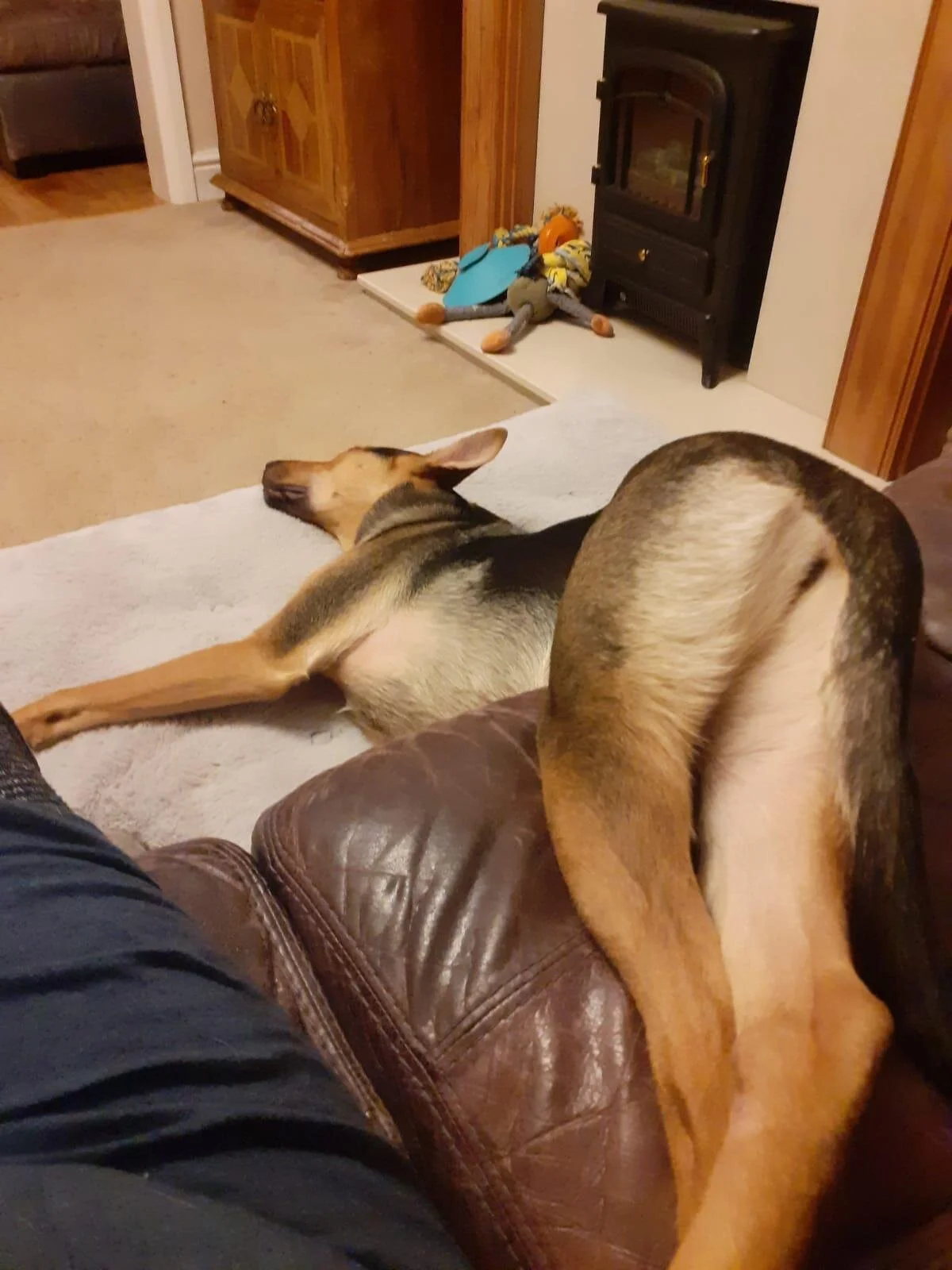 3455A484-975E-4D0F-936A-8D99D9F5E444