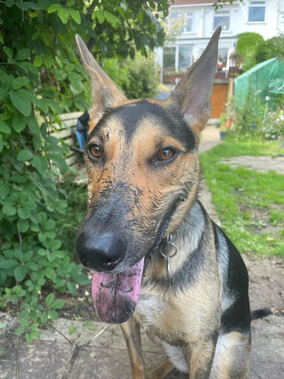 66AF9793-6C43-4C2A-AE63-BAD9586C99B0