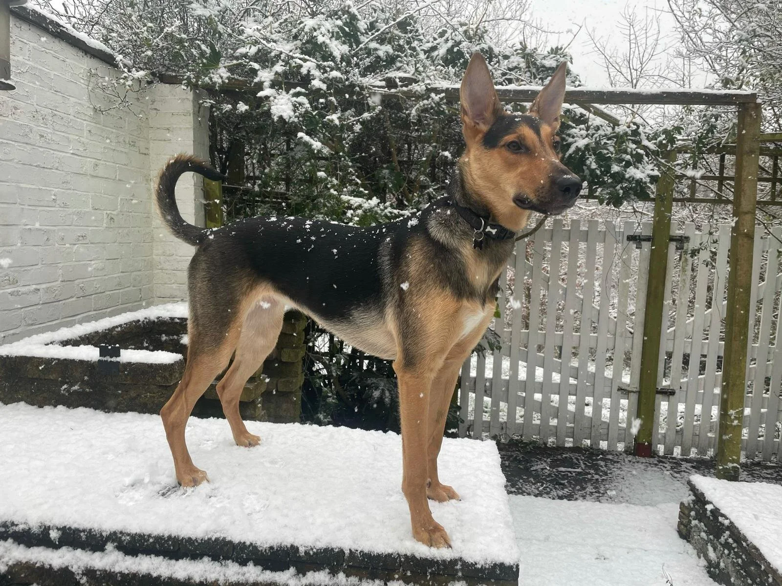 7083101B-03B7-4201-BF6A-A53CA1A4510B