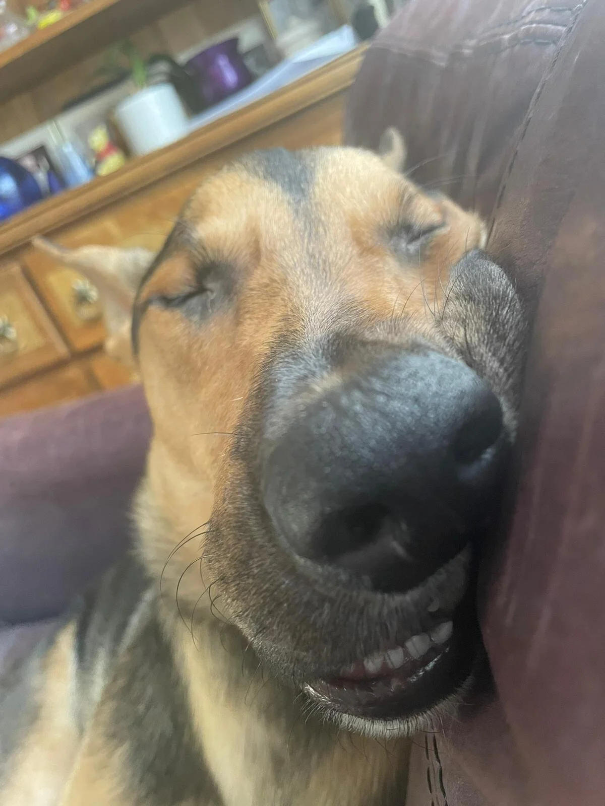 3B73A27A-238D-4013-9FB9-F35D898F0992