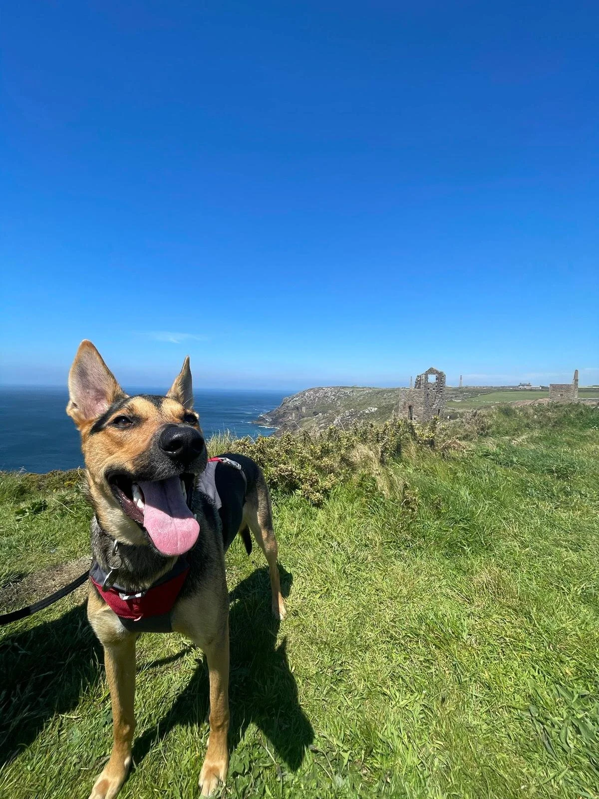 CAB4C334-2627-4BE6-830B-3EE7C71F1965