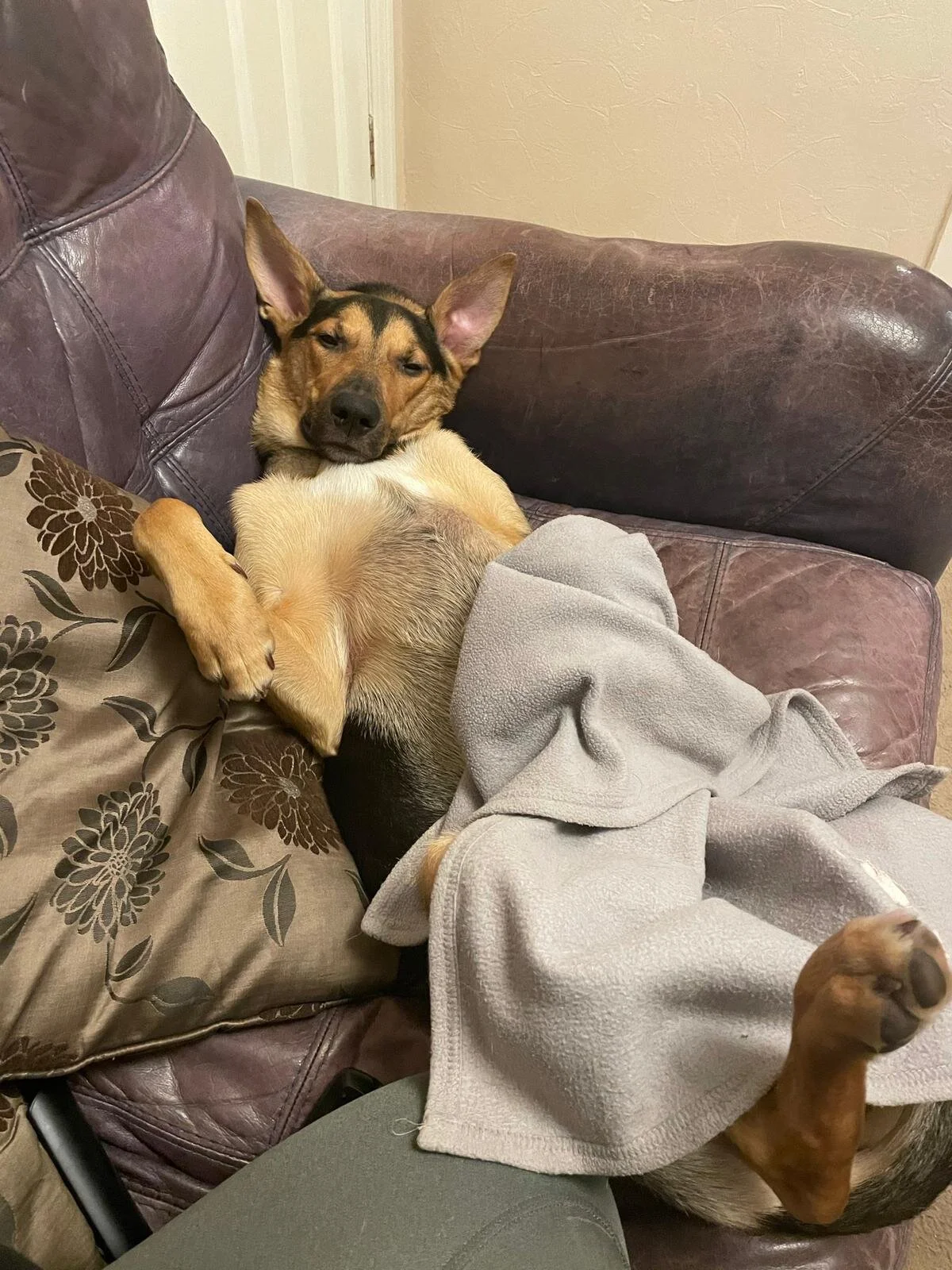 C12159B7-F9DC-43EA-8D26-C8480ECD06C6