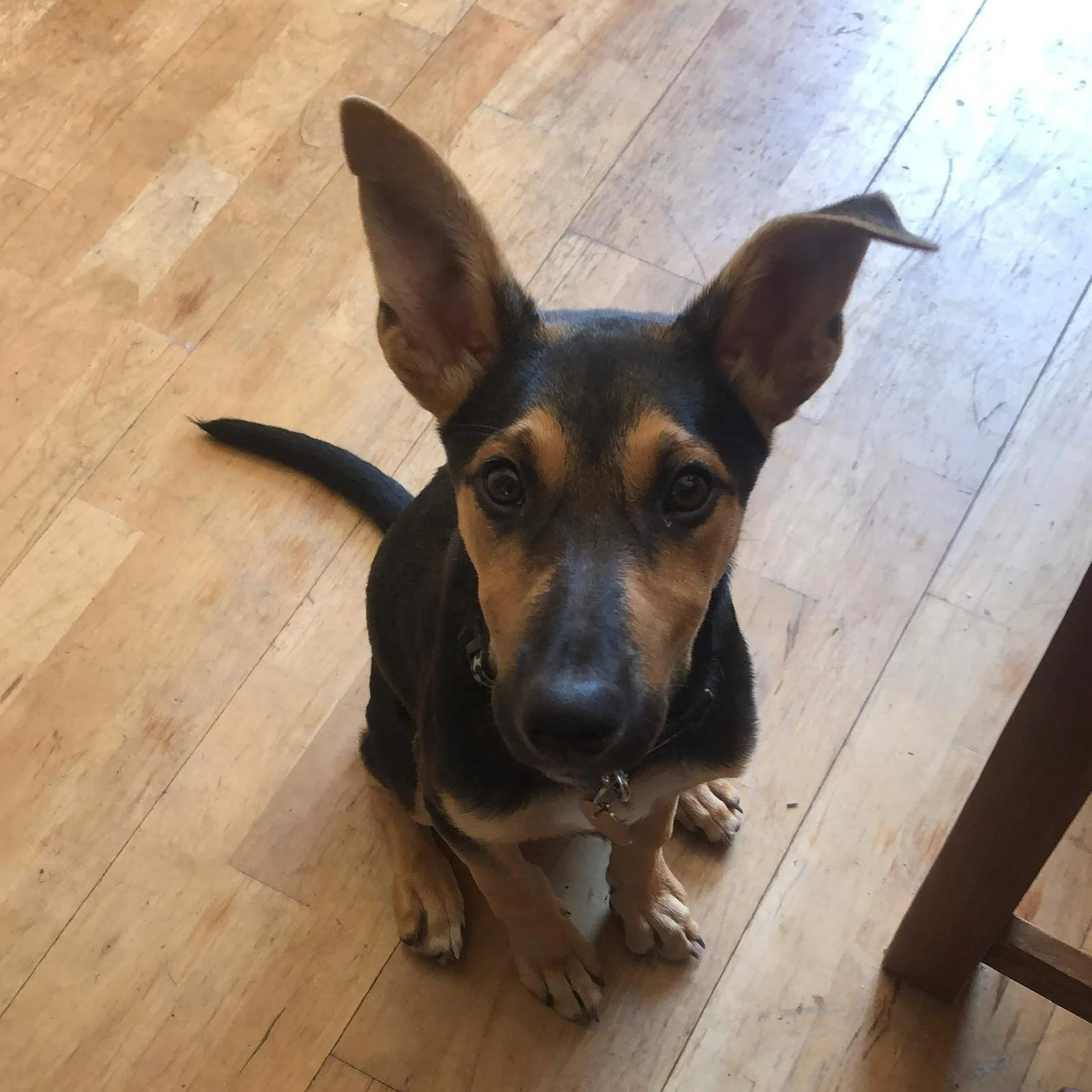 5AFEC179-DCF7-4621-93C8-85536599057B