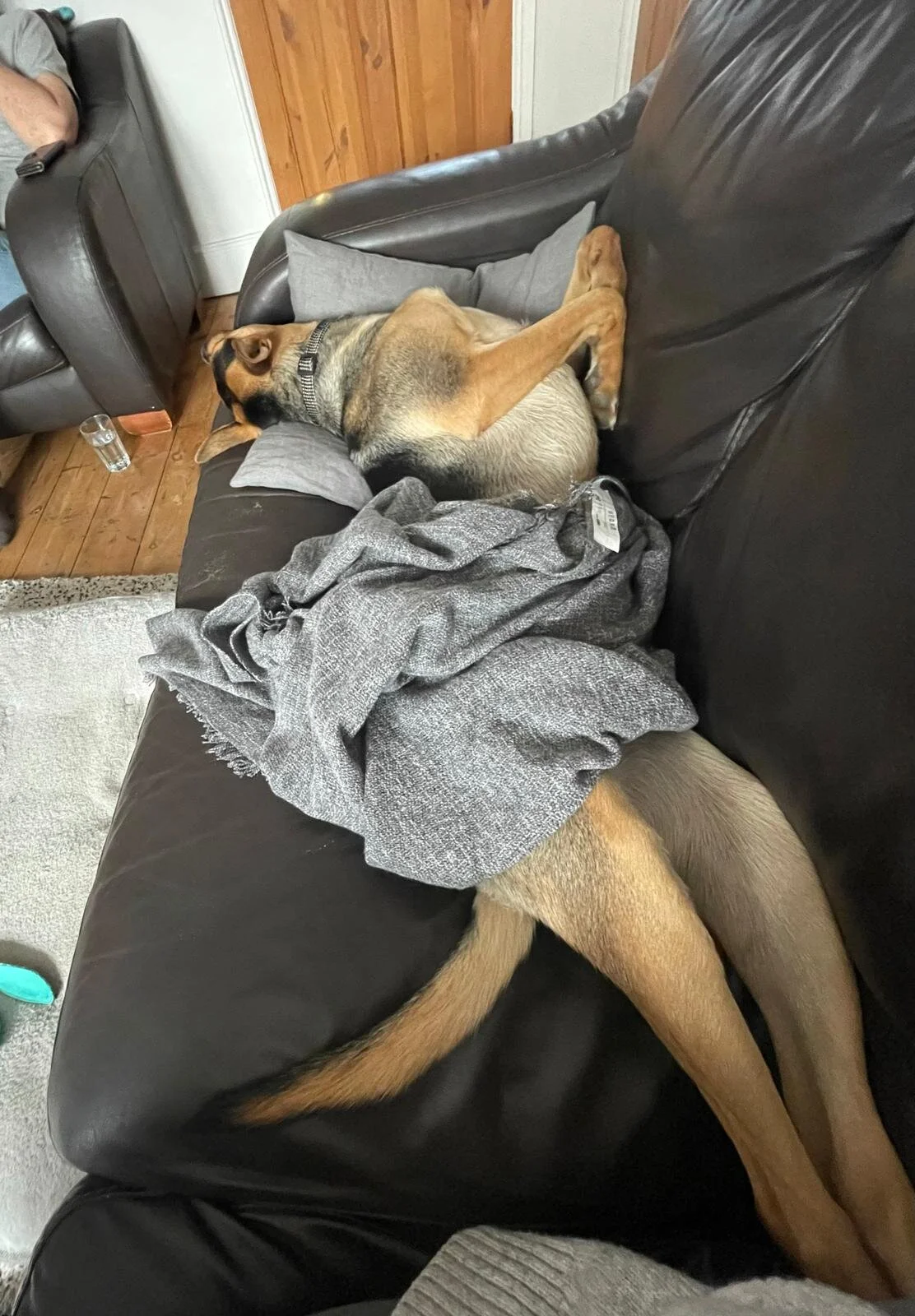 89801541-7477-4328-B8D8-A8C52532DC4D