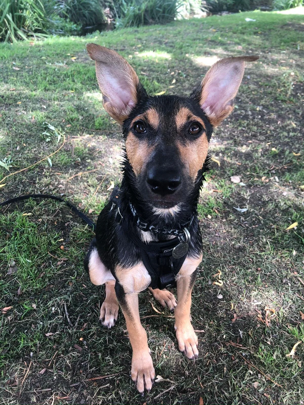 22D6CA45-1D17-4DEE-B2D4-A7627427980D