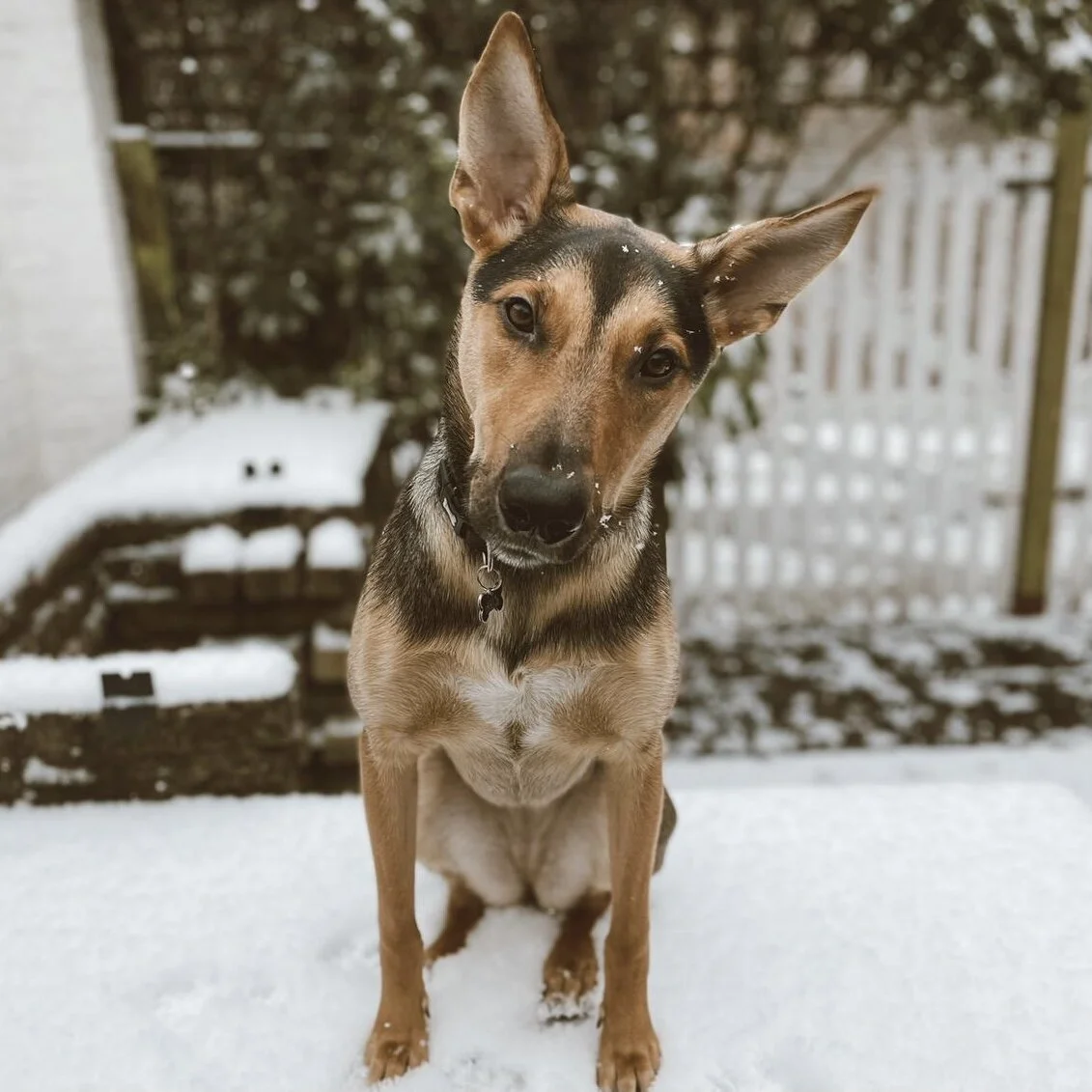 1CACF0D4-8DB6-4862-909B-FB3F10F1396E