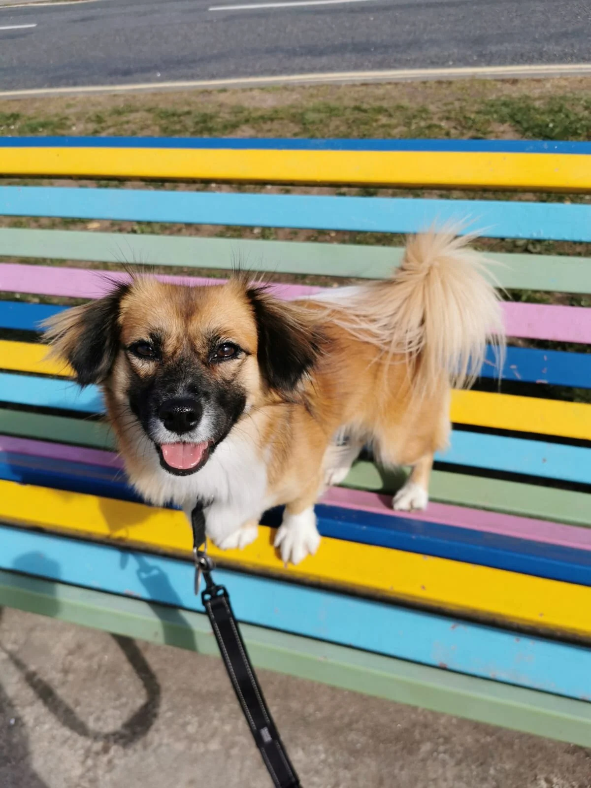 BF1585BF-1DA9-4E75-8545-3A873B2352B7