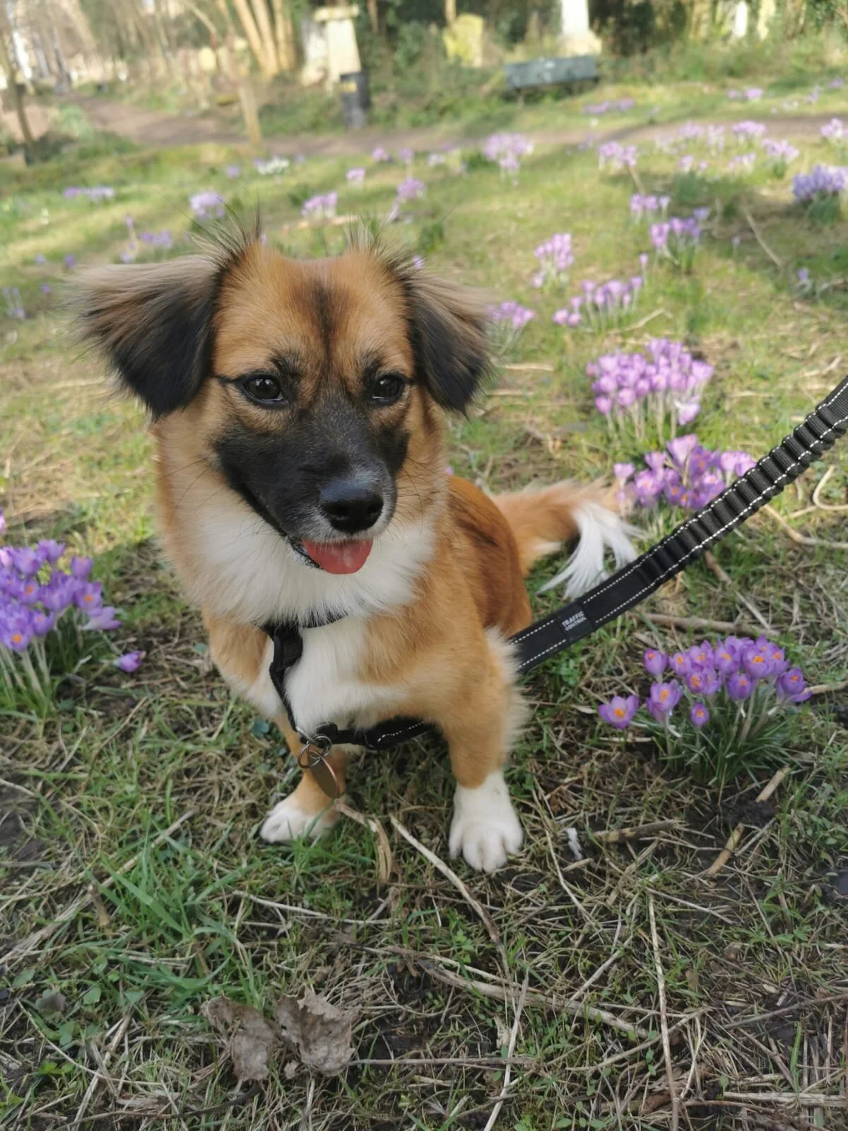 2477A616-BF11-4742-BC63-72E8D6C578FD