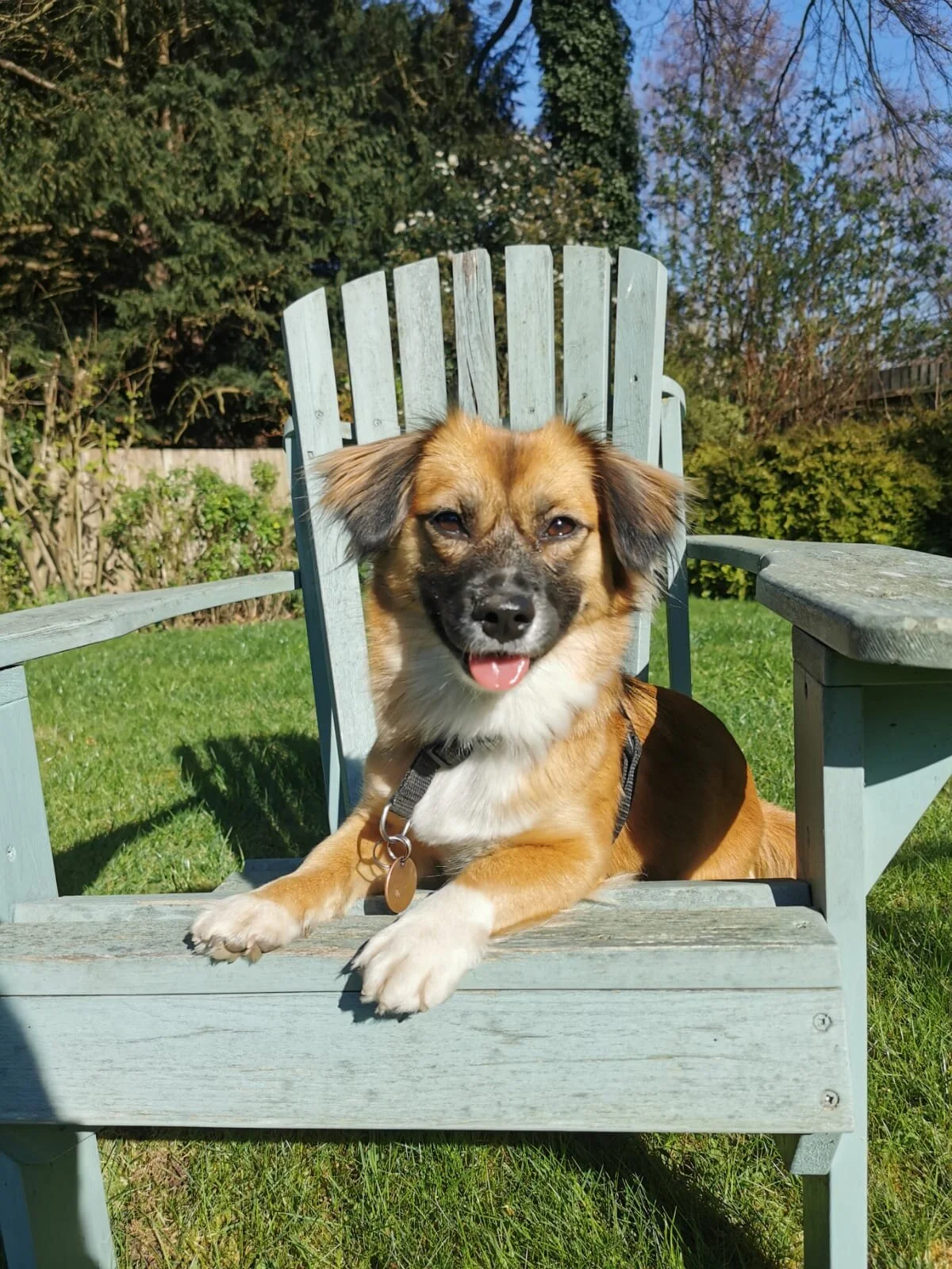 FACC32DF-74EF-461F-9E92-2DB8D6154A2E