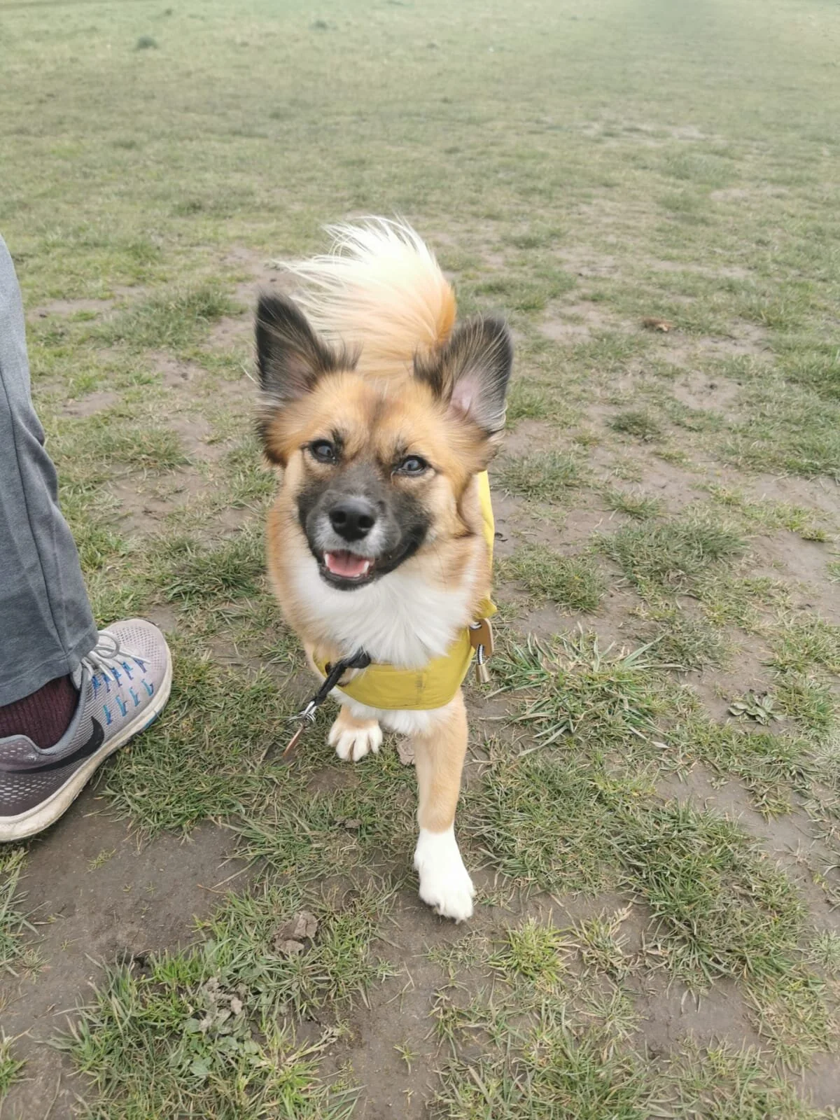 D6F07BA0-A510-449B-86F0-4A00010D8B79