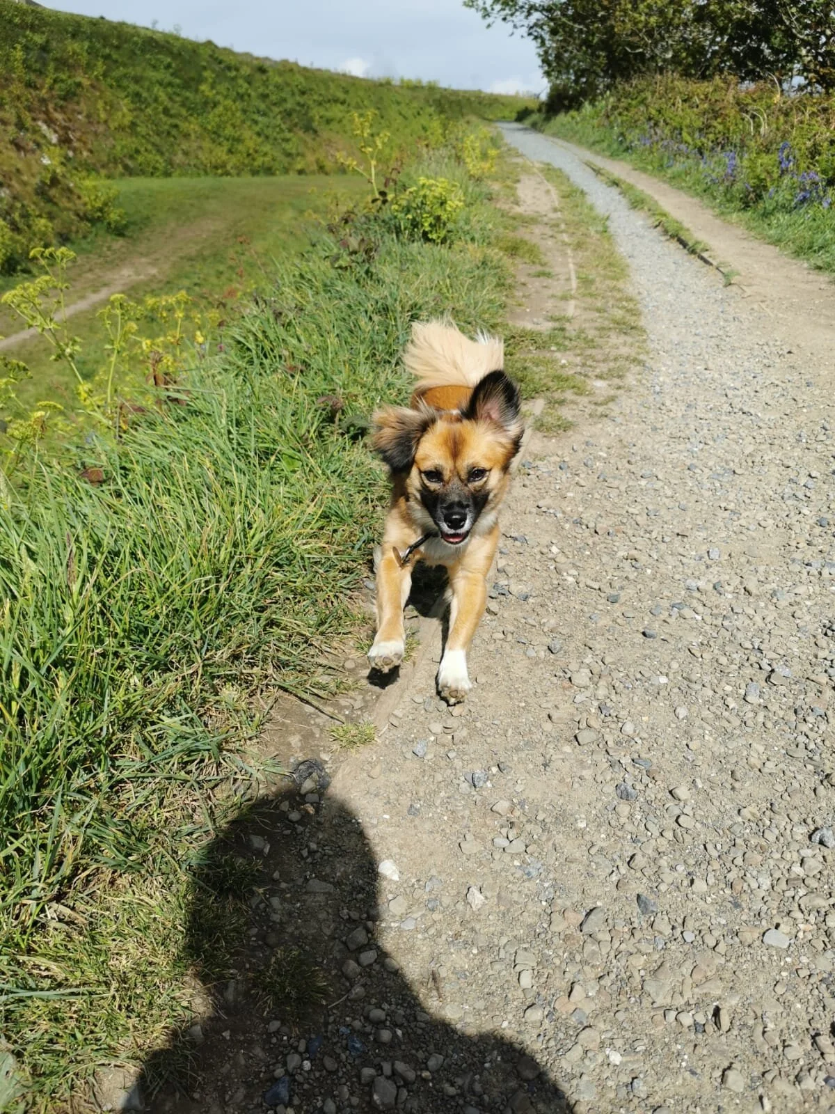 AF4E0599-FDC6-4787-B72B-8524E707E37F