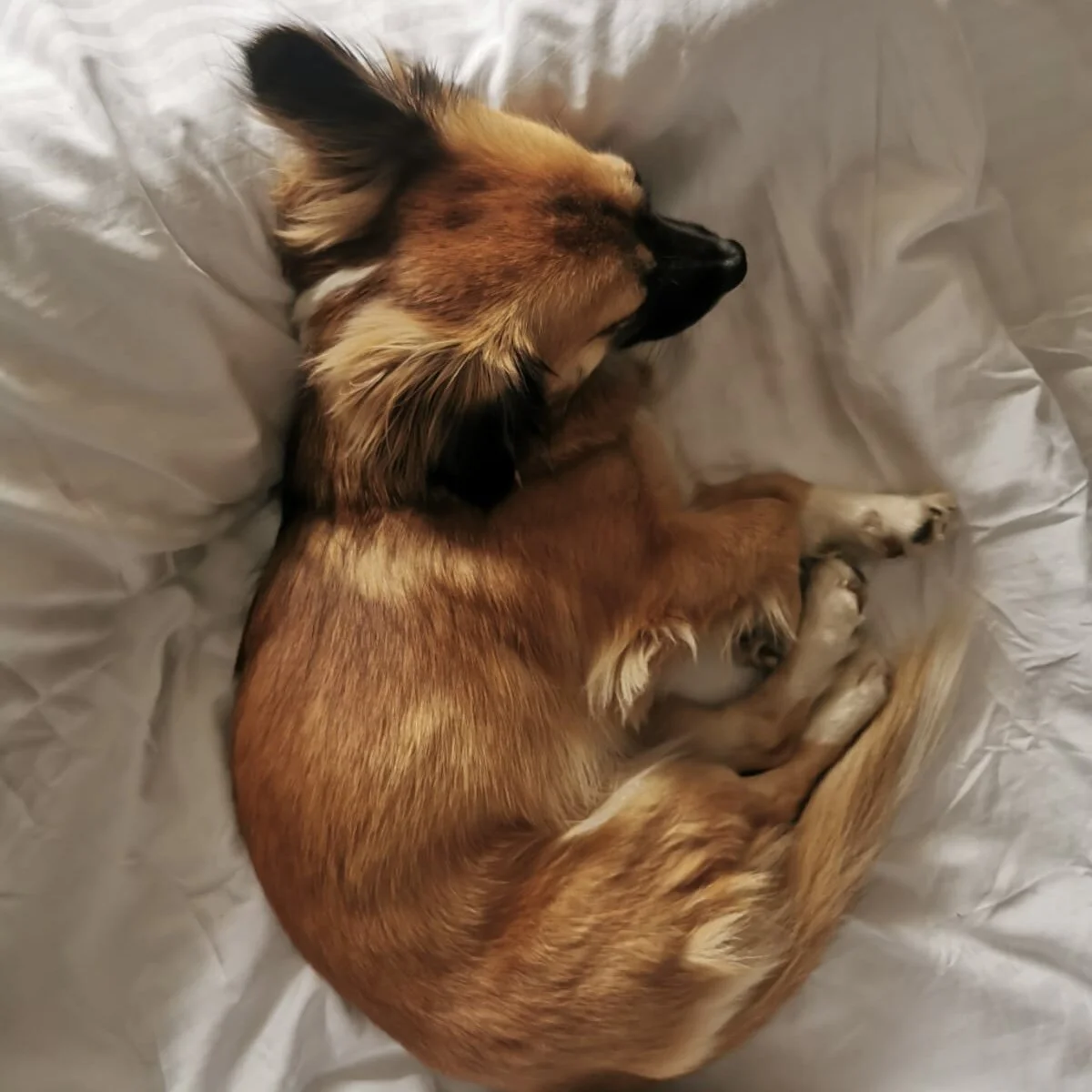 2ECA6DDD-DFB4-4504-9D25-42022B0B04AC