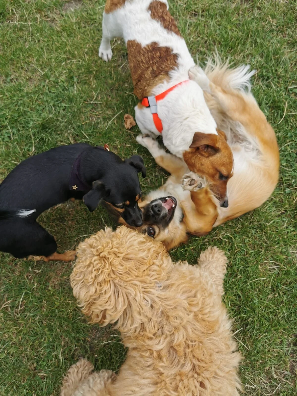 F5AE339F-CD74-4830-96E3-7AE073D0C819