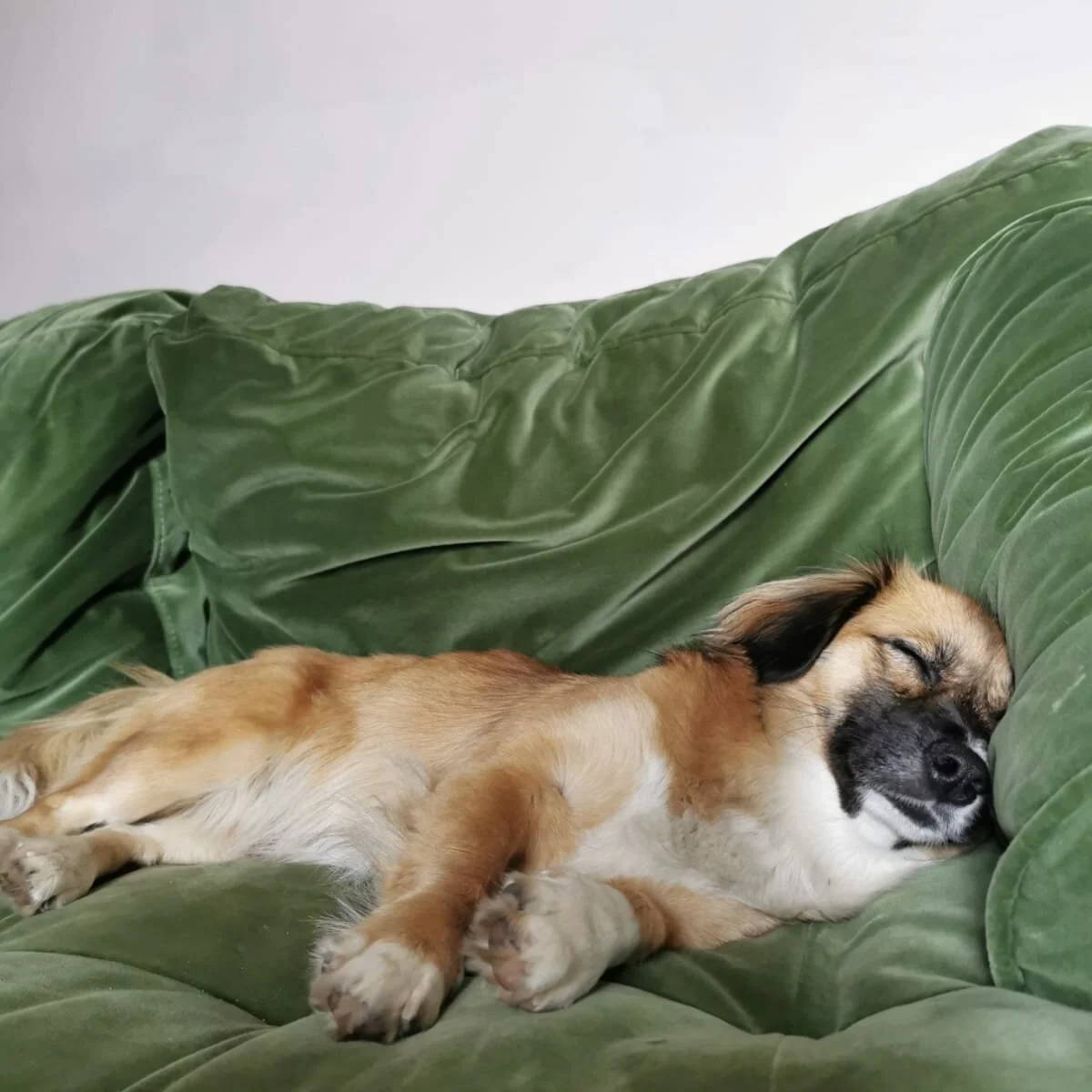 0F1911AF-9780-4B32-A7D3-61882E0D8773