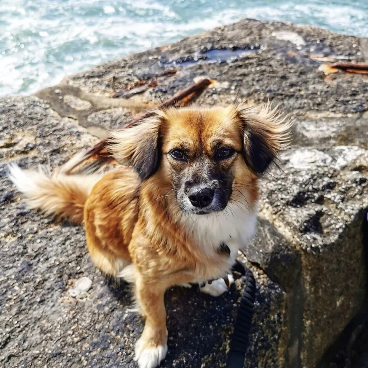 4FD2AEE7-E113-4C33-BEBB-7BE9AB561318