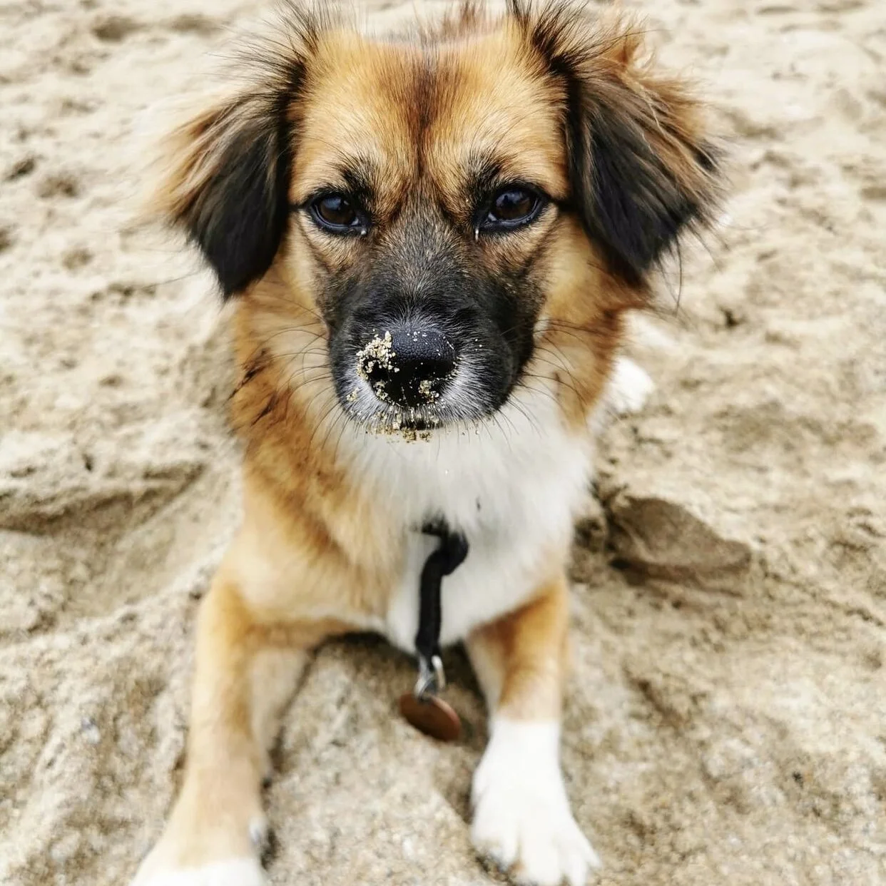 D170C449-861F-4B74-AB19-39F76798124A