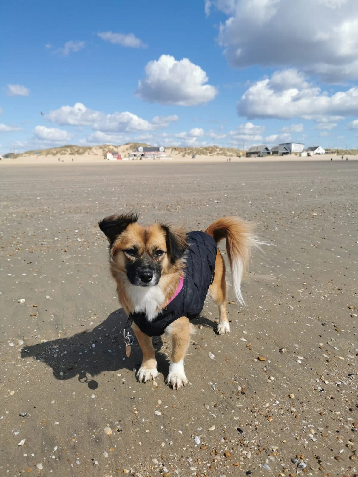 96328B58-E9AD-414F-83B8-3A334F0914EE