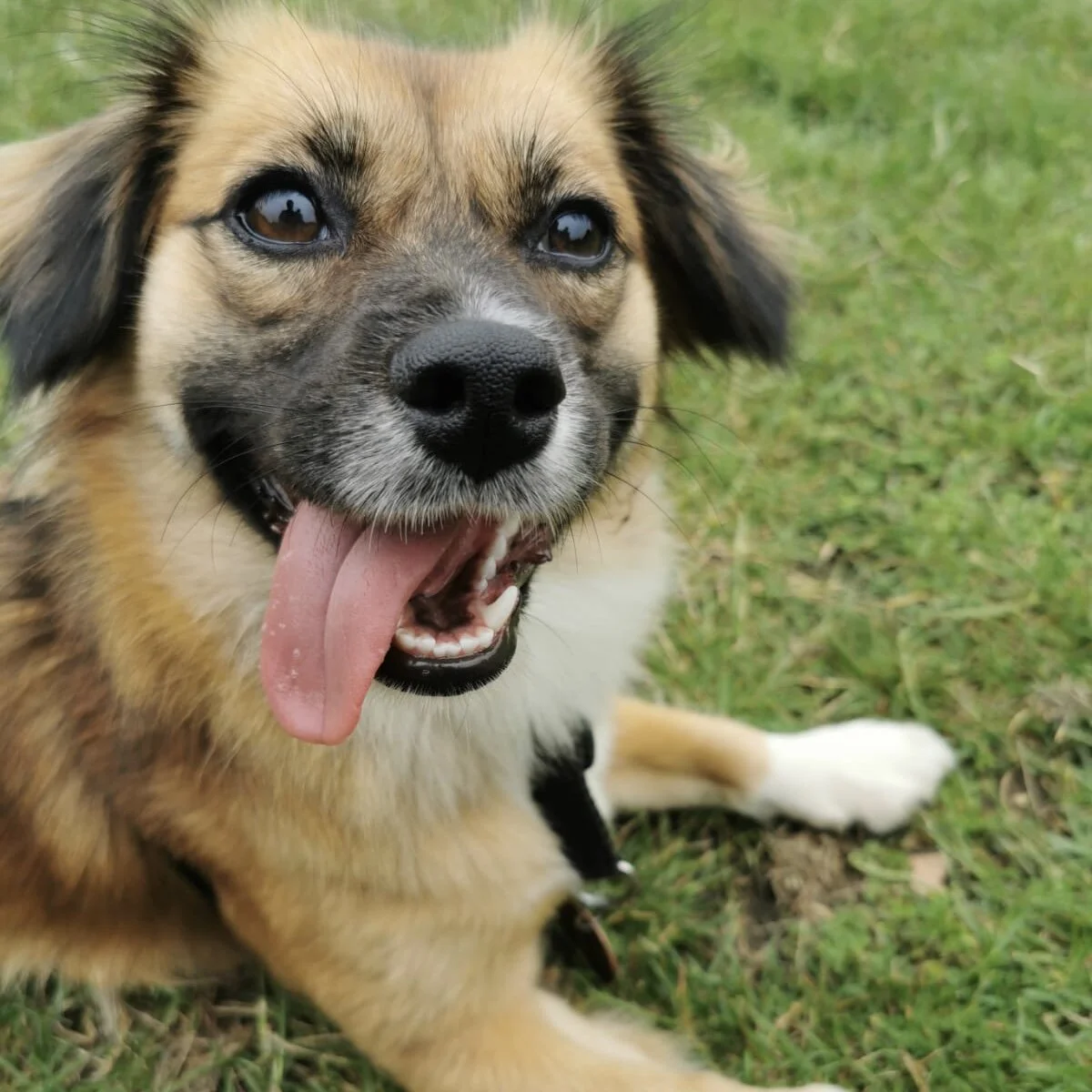 CB8EB83D-1677-4C69-84FC-734F68C20234