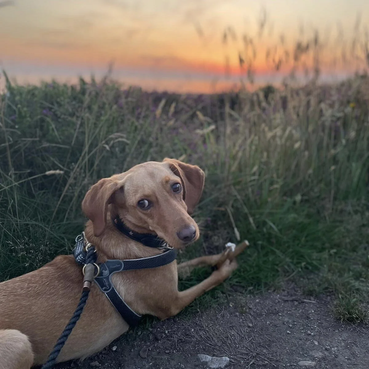 83E3B4FB-784C-425B-B139-486ABFE0EECC