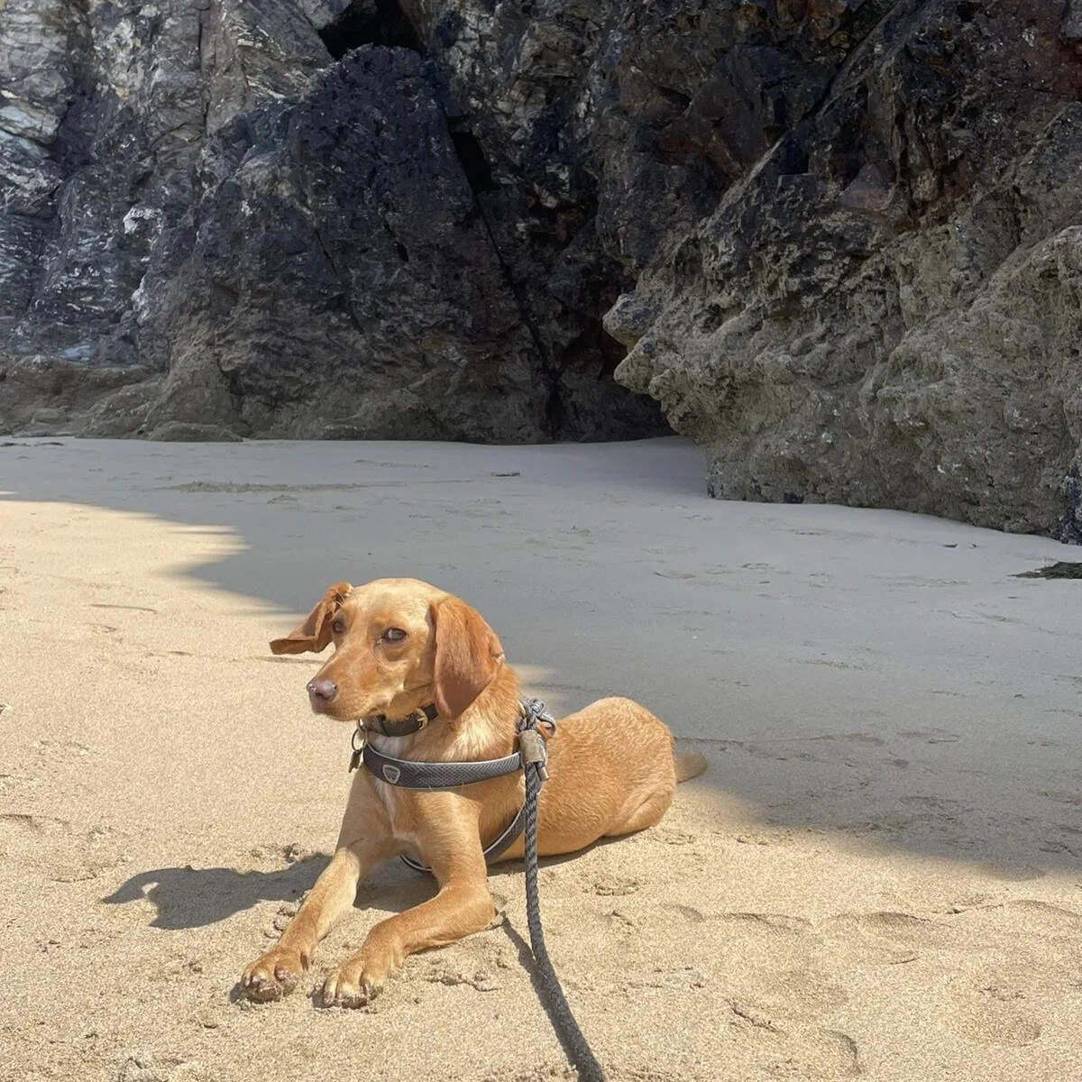 57CC9146-04BF-40DD-9F9A-25040EB9367D