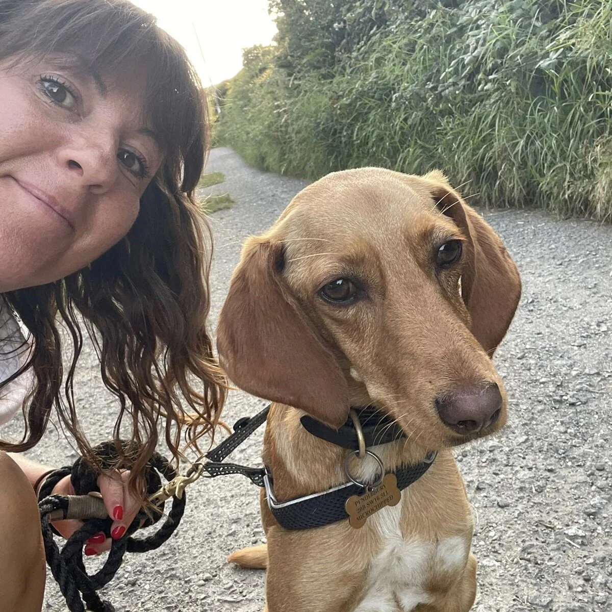 4F4D82CA-485F-46C4-A659-A04FE419EF97