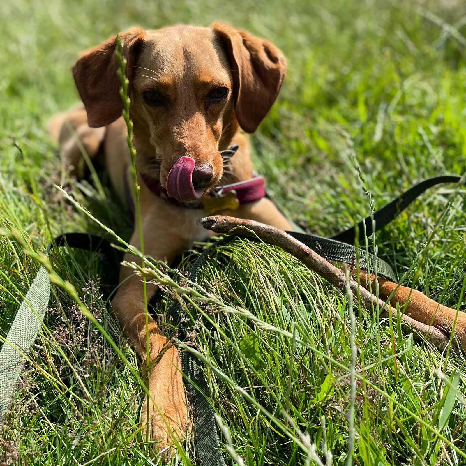 5E3FEB2C-3FFC-43C3-A779-FC0E281228FF