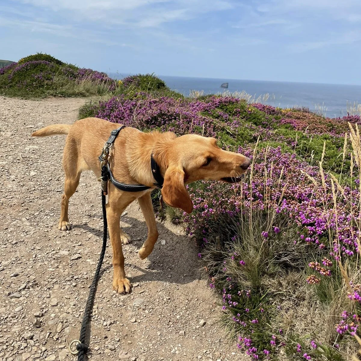 C4A5AAFD-0039-412A-95F3-2AF3F54472E8