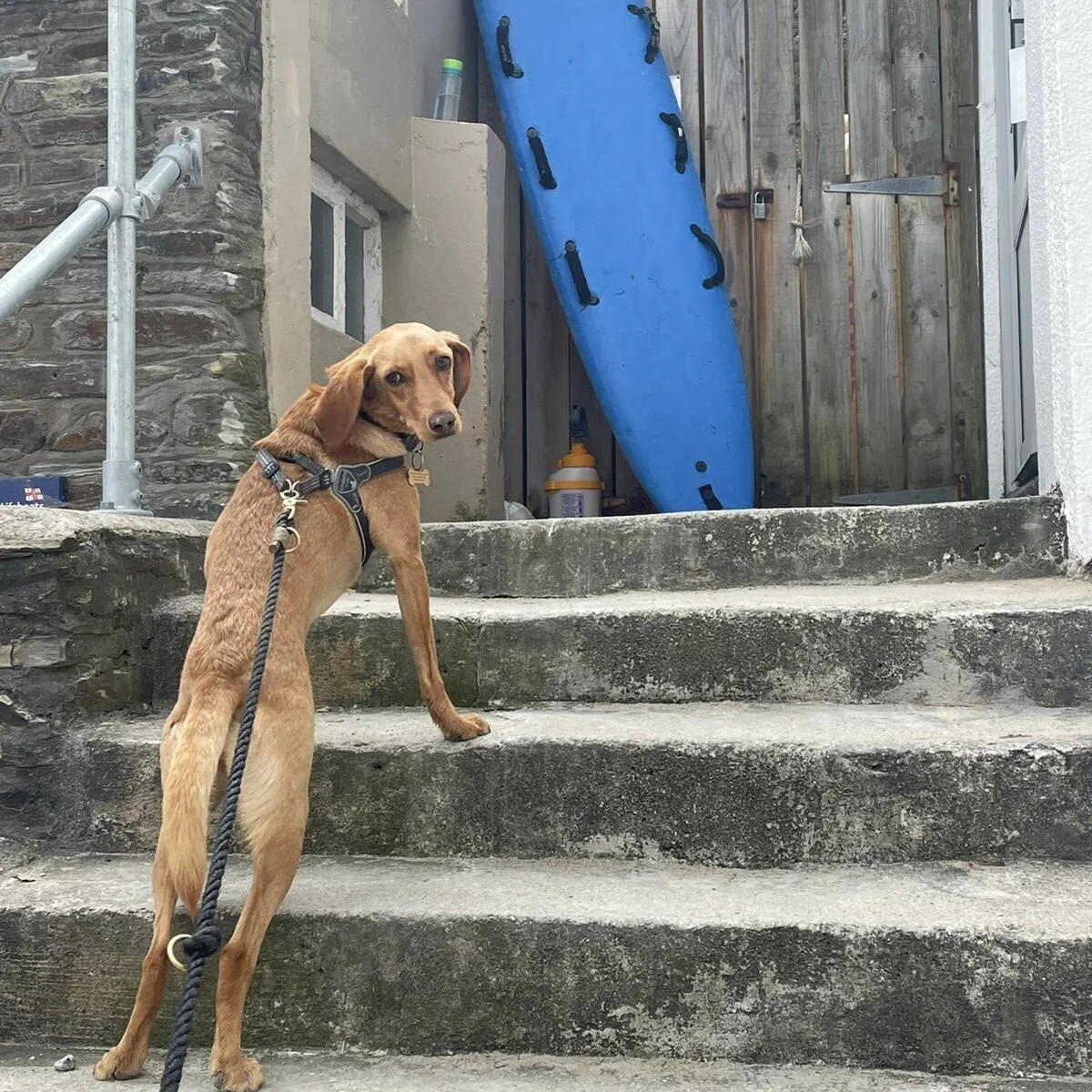 BC576A1E-9035-4D82-AA03-5CE842E221AE