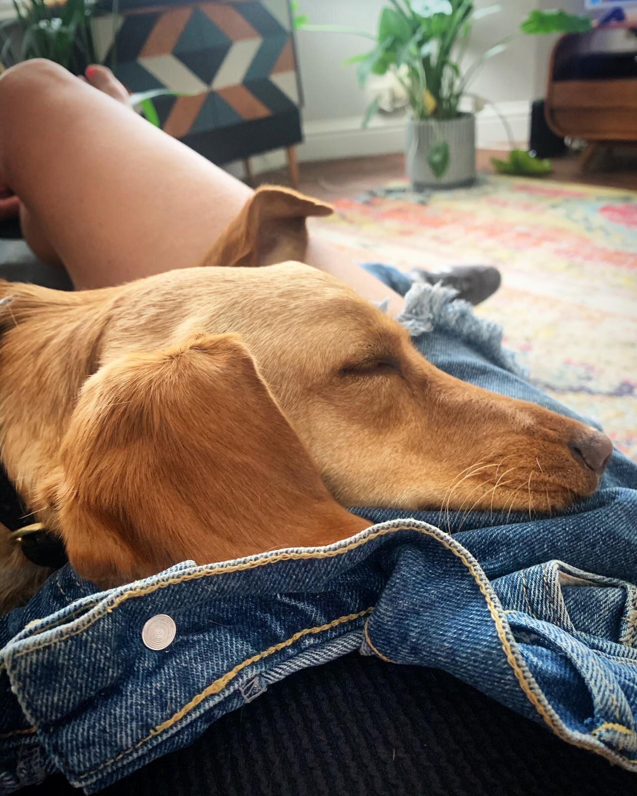 237BCD19-EF22-407A-95D9-51181B328083