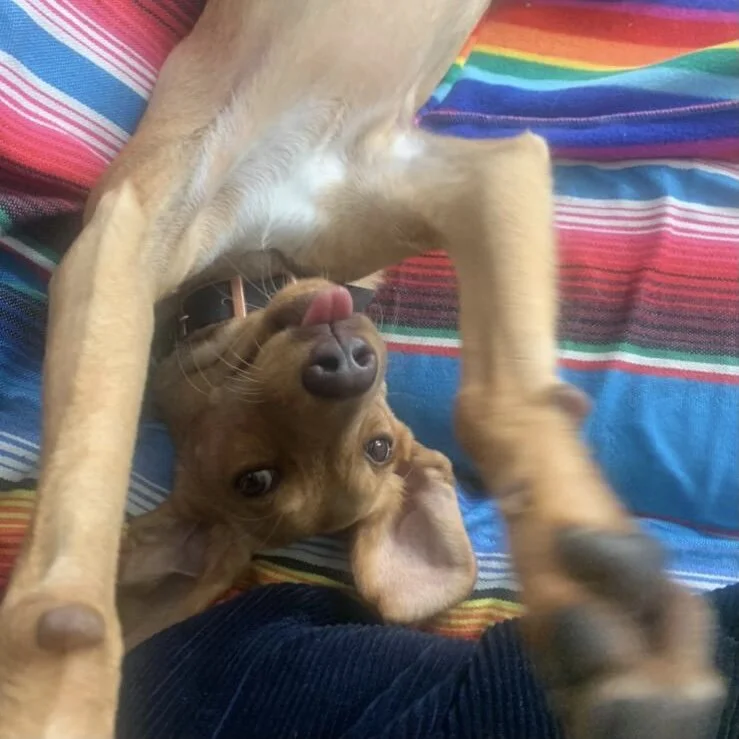 3B926543-37E8-470F-B616-93074DF9ED6E