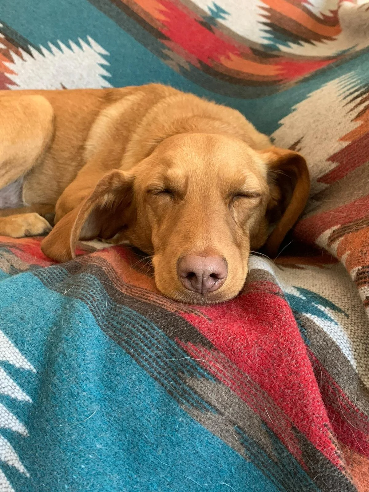 9C2ECB8F-EB07-4CDA-AED5-CB05102E3136