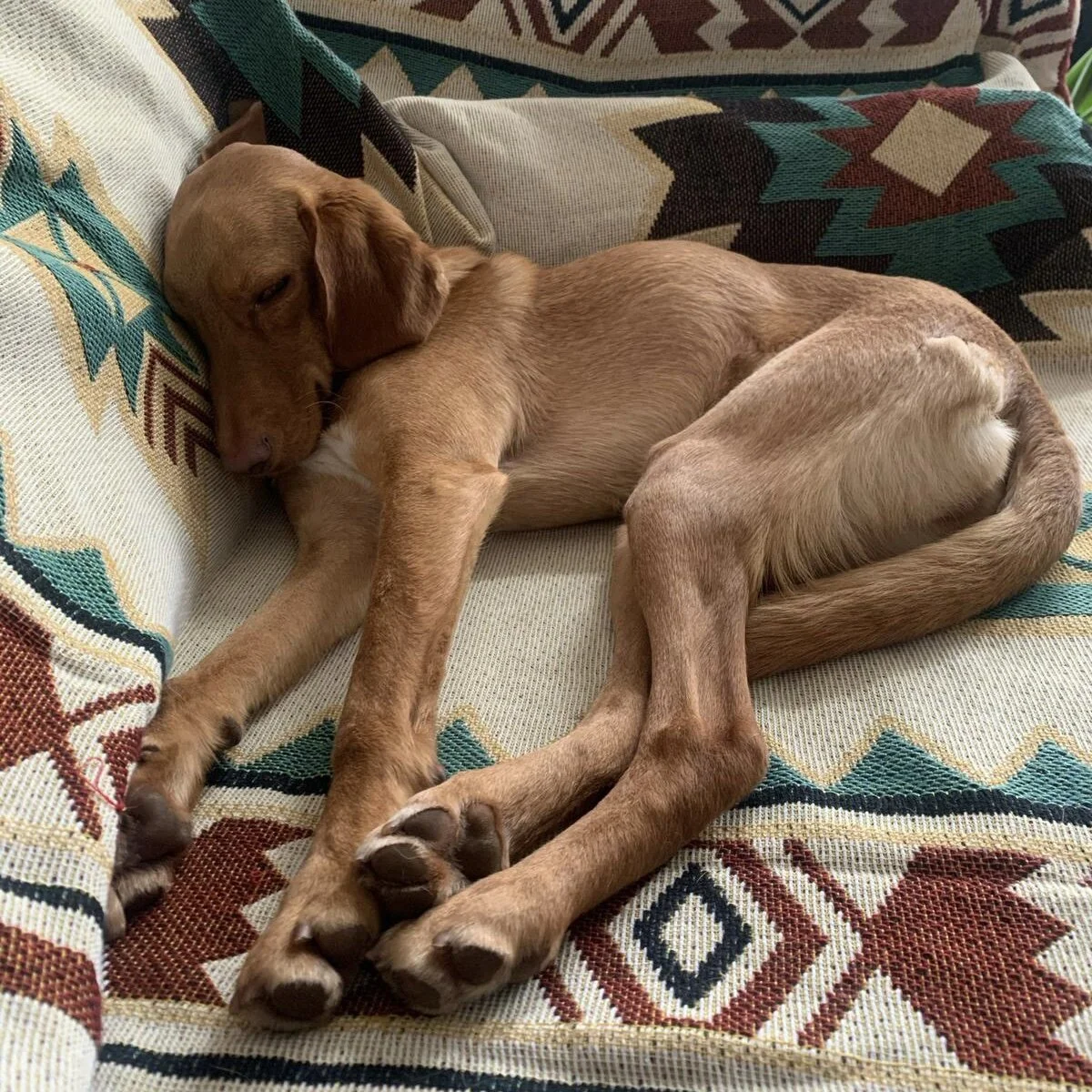 C7CD6664-3D2C-4583-9B25-997CC4F076AB