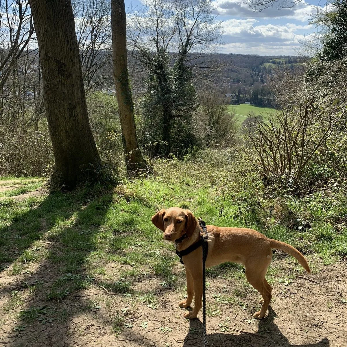 7DFEC98F-CEE8-4718-9DAF-D44197D7DA10