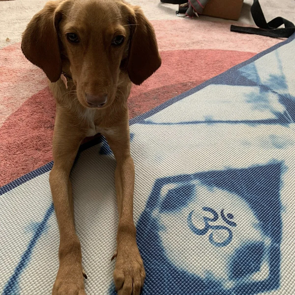 A6B6B04C-04CB-49F5-B395-B418BC743BDB