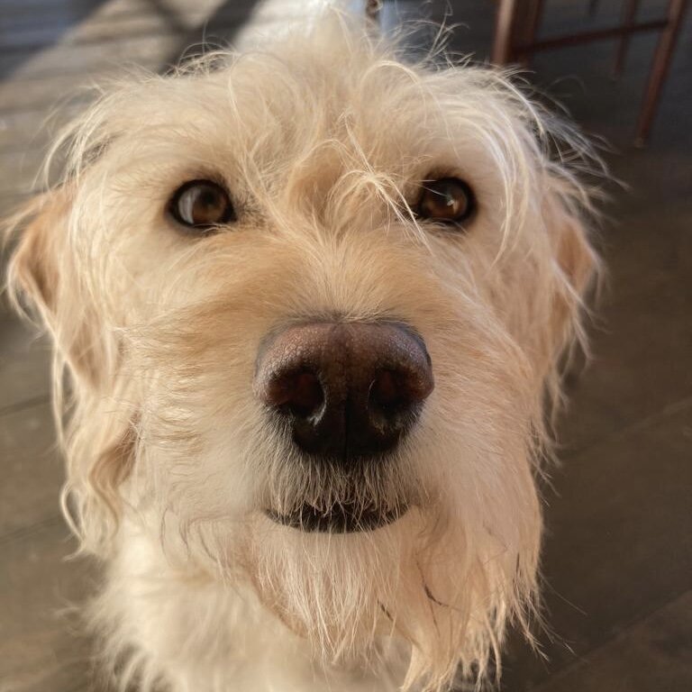 4B5C120C-97EA-4DD3-9D5C-563D16F02039