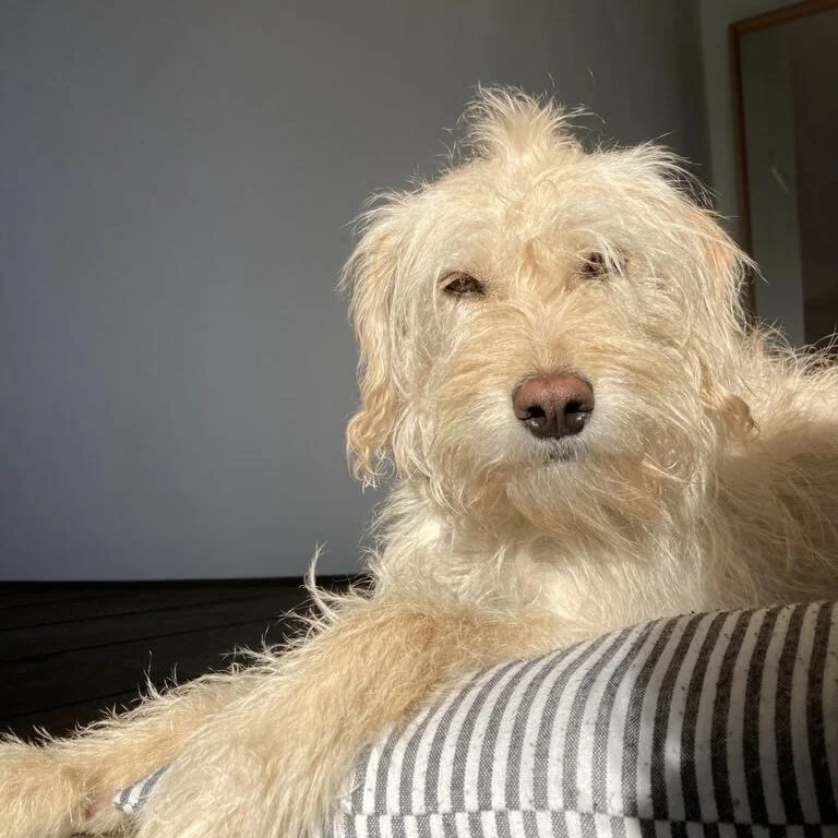 61A01C59-16D1-4800-8731-B70BB1DF7566