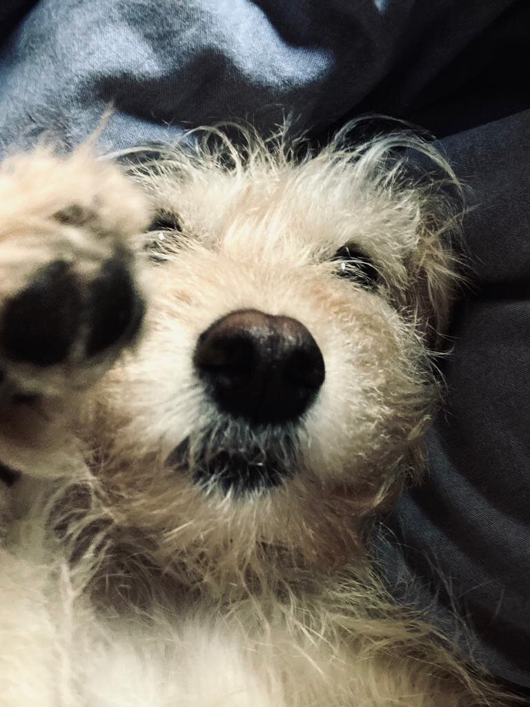 F26DBA3D-C775-4171-8785-4F98EBA63D9A