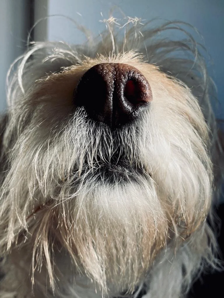 BF19A221-A70C-4F7B-ACA0-293336EAFF02